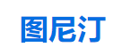 图尼汀论文