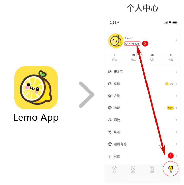 How to find Lemo ID? How to find Lemo ID?