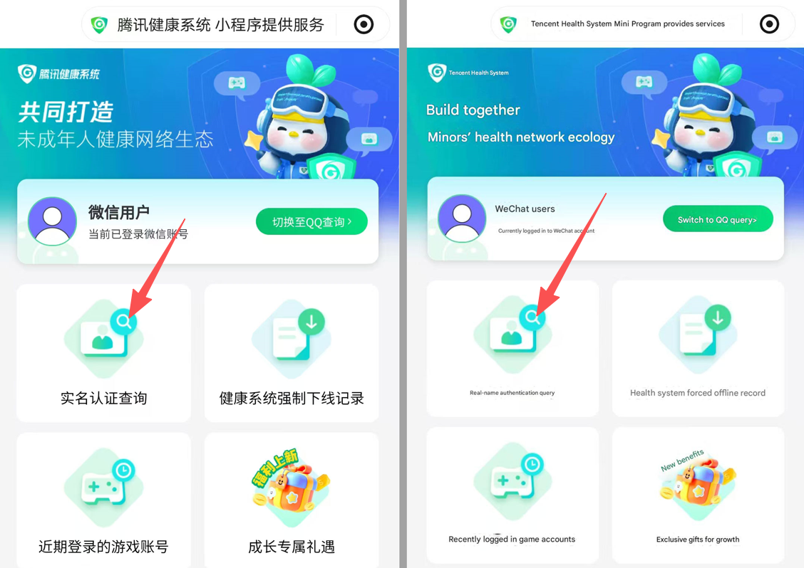 Real‑Name Verification Inquiry